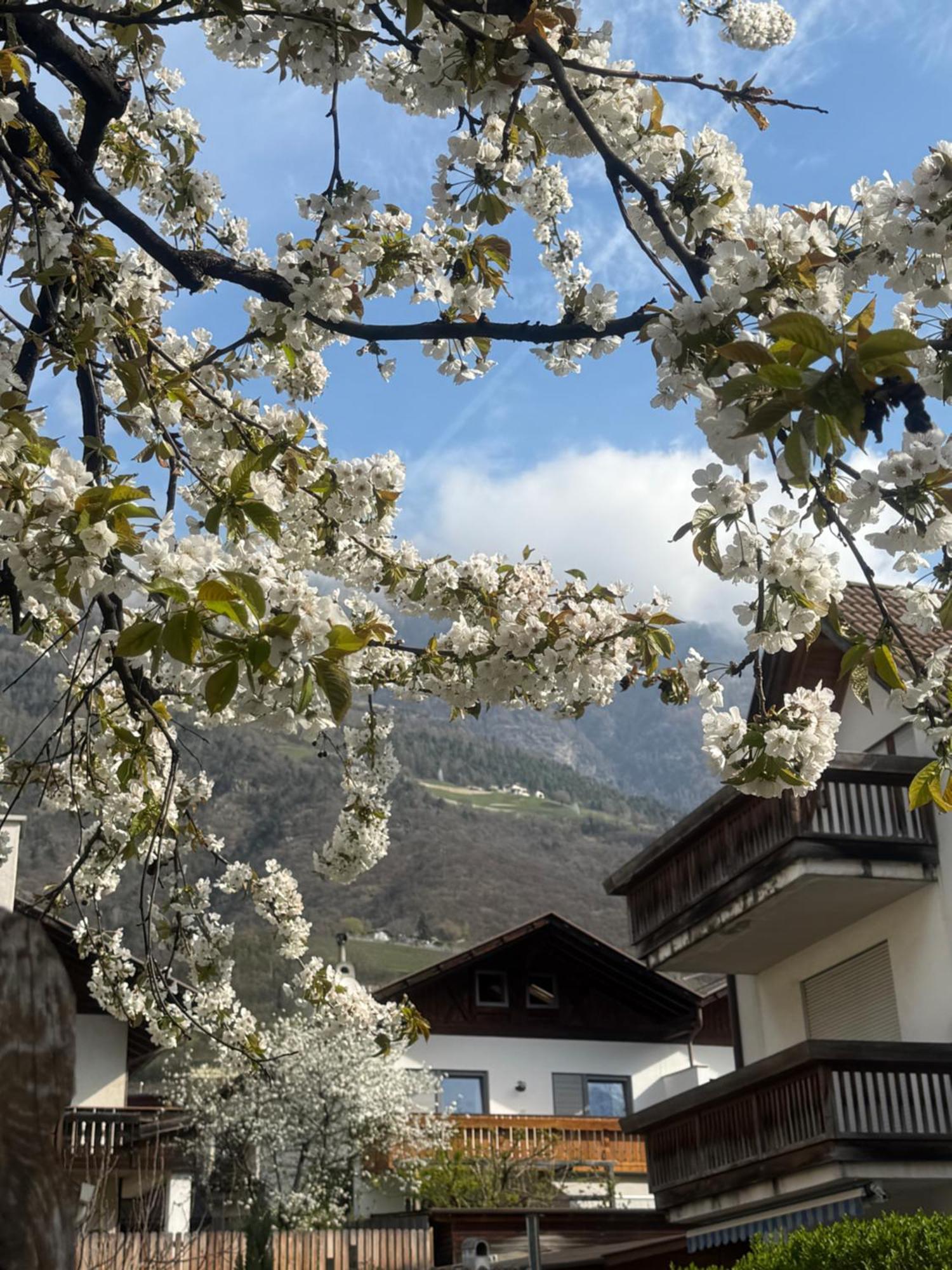 Ferienwohnung Im Zentrum 纳图尔诺 外观 照片